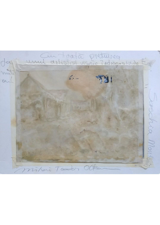 Mihai Teodor Olteanu (n. 1953) - "Saschia Montană"